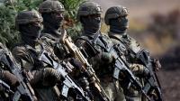 Germany to send troops to Greenland, coveted by Trump