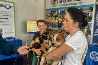 Dog day at the Illinois State Fair