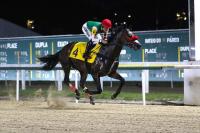 Slingerz Racing Stable’s ‘Olympic National’ set to make Guyana Cup debut