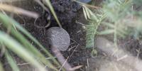 Archaeologists Found a 440-Year-Old Coin that Marked the Lost Site of a Doomed Colony