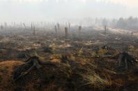 Wildfire burns area size of 3,780 football fields in eastern Belgium as hundreds evacuated