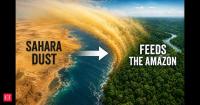 A dried lakebed in Africa's Chad sends 27.7 million tonnes of dust across 5,000 km of Atlantic Ocean each year, carrying phosphorus that helps sustain the Amazon rainforest