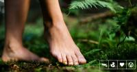 World’s Fourth ‘Therapeutic Forest’ Certified In Portugal