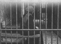 Hashd: Palestinian Female Prisoners Face Torture, Medical Neglect, & Systematic Violations Inside Israeli Enemy Prisons