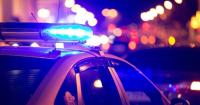 Suspect caught after stabbing 2 at Fort Myers club on Palm Beach Blvd, police say