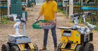 University of Essex spin-out secures £1m investment for crop-picking robots