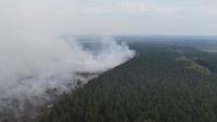 Belgium: Fire Consumes 3,000 Hectares, Evacuations Underway in One of Country's Worst Wildfires