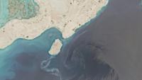 Major oil spill threatens Hara mangrove forests in Persian Gulf