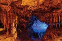 Wilde Side: Exploring the Florida Underground