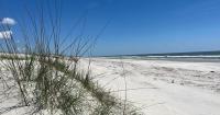 Skip Jekyll Island: This Unspoiled Beach in Georgia Is Better