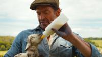 10 Movies to Watch if You Love The Sheep Detectives