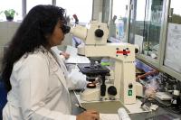 The Medical Minute: Q&A — Are Environmental Chemicals and Endometrial Cancer Linked?