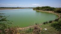 Environmental activists highlight various sites of archaeological and biodiversity significance