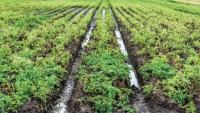 Governments of Canada and Manitoba provide flood recovery support for producers