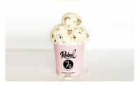 Rebel Creamery Files For Chapter 11 Bankruptcy After Losing $23.8 Million Ice Cream Packaging Lawsuit