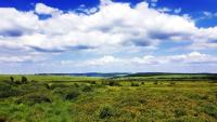 Belgium’s Record Wildfire Burns 3,000 Hectares and Pushes Towards German Border, Belgium