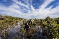 Science funding is in trouble. Can philanthropists help?