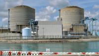 Reactor shut down at St. Lucie Nuclear Power Plant for repair work