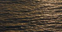 Search continues for missing boater after wake incident at Miami Beach Park