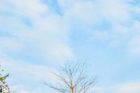 Warmer day ahead as fine weather dominates South Africa