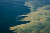 Swimmers warned against toxic algae in Baltic Sea and German lakes