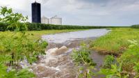 Oregon judge greenlights suit over nitrate-tainted water serving 46,000 residents