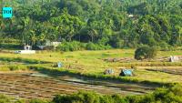 Mining company rapidly acquiring village land, allege Surla locals