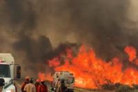 Viral video shows California's Bug Fire crossing Highway 395 in high winds