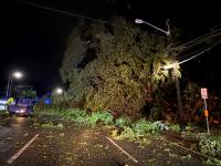 City urges residents to stay safe as Tropical Storm Lala brings strong, damaging winds