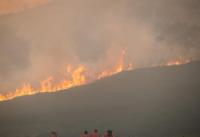 Wildfires rage across Germany as heat and drought intensify