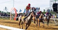 More than 10 new horses to feature at Guyana Cup