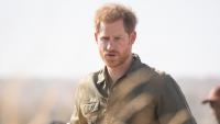 Prince Harry Sends Princess Diana's Legacy Funding to the Elephants