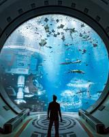 Young people take a closer look at Gulf marine life in Abu Dhabi