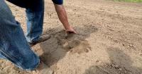 Severe drought expands in Minnesota, threatening farms
