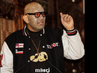 Te Pāti Māori reveals electorate-first election strategy as campaign launches