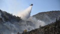 At least 2 people killed as firefighters battle massive wildfires in Greece, Belgium