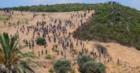 Morocco arrests 300 trying to reach Spain's Ceuta