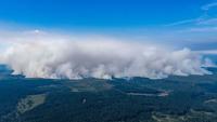 Evacuations as Belgium’s biggest-ever wildfire burns towards Germany
