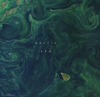 Toxic Blue-Green Algae Spread Along Baltic Sea