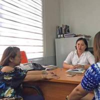 BOI promotes Visayas for green investments