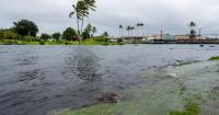Lala leaves one dead in Hawaii with heavy rain, winds to come