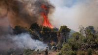 Forest fires in Greece - there are dead