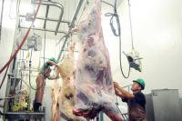 Opinion: Overcoming Gov. Ayotte’s veto should be first step in providing farmers with relief and consumers with local meat at reasonable prices