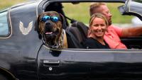 People and pets at Woodward Dream Cruise 2026