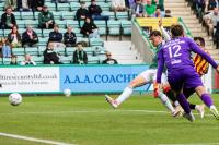 Hibs expect further transfer business after defining week