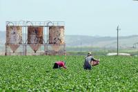 As summer heat waves intensify, North Carolina advocates push for farmworker protection
