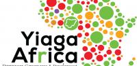 INEC, security agencies passed Osun election key test – YIAGA Africa