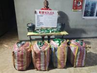 ₦23M Drug Gamble Backfires as NDLEA Arrests Lagos Businessman at Airport