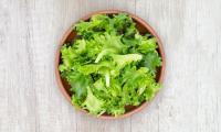 Scientists develop lettuce containing meat protein