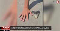 Family finds Megalodon tooth on beach in New Jersey